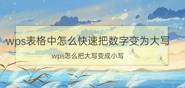 wps表格中怎么快速把数字变为大写 wps怎么把大写变成小写？